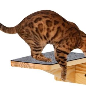 Wandrek voor katten – Klimmeubel huisdier – Katten avontuur – Stabiele bevestiging – 25 cm lengte – Houtkleur Wandrek voor katten – Klimmeubel huisdier – Katten avontuur – Stabiele bevestiging – 25 cm lengte – Houtkleur