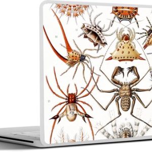 Laptop sticker – 13.3 inch – Retro – Spin – Ernst Haeckel – Spinnen – 31×22,5cm – Laptopstickers – Laptop skin – Cover