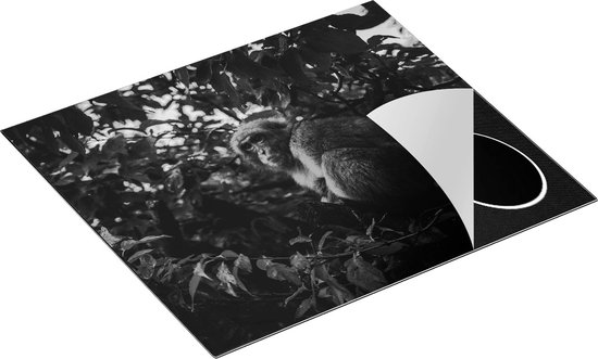 Chefcare Inductie Beschermer Aap in de Boom tussen de Bladeren - Zwart Wit - 60x50 cm - Afdekplaat Inductie - Kookplaat Beschermer - Inductie Mat