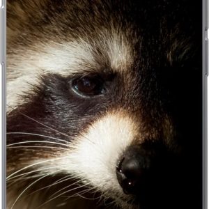 Geschikt voor hoesje – Wasbeer – Wilde dieren – Zwart – Siliconen Telefoonhoesje Geschikt voor hoesje – Wasbeer – Wilde dieren – Zwart – Siliconen Telefoonhoesje