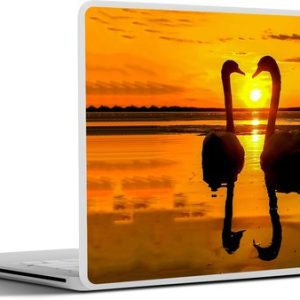Laptop sticker – inch – Zwanen – Zonsondergang – vogel – Oranje – Water