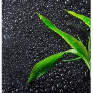 Apple iPhone Xs Max Smart Cover Orchidee Apple iPhone Xs Max Smart Cover Orchidee