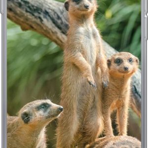 Hoesje – Familie – Dieren – Stokstaartjes – Siliconen