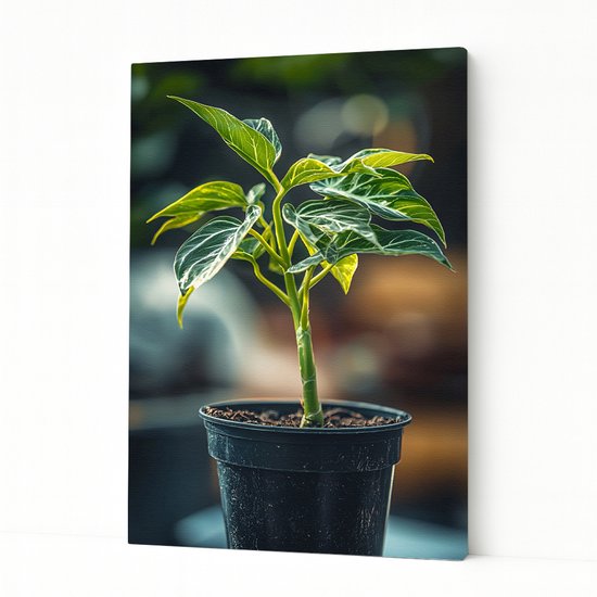 – Canvas schilderij