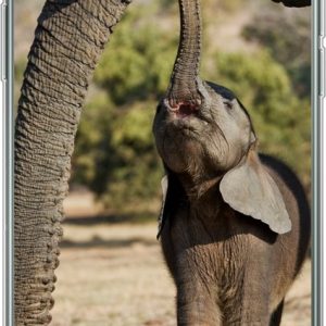 Hoesje – Baby olifant communiceert met moeder – Siliconen Hoesje – Baby olifant communiceert met moeder – Siliconen