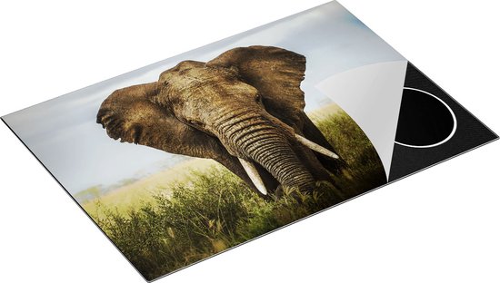 Chefcare Inductie Beschermer Olifant in het Wild - Kleur - 75x50 cm - Afdekplaat Inductie - Kookplaat Beschermer - Inductie Mat