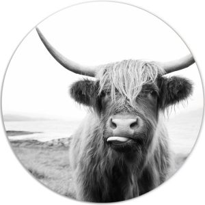 Muurcirkel cow – Ø – Forex