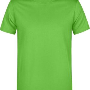 James And Nicholson Heren Basis T-Shirt (Kalk groen)