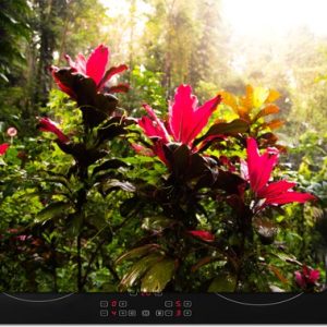 Inductie beschermer – Inductie Mat – bloemen middenin de jungle – inductiebeschermer