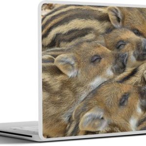 Laptop sticker – inch – Zwijnen – Slaap