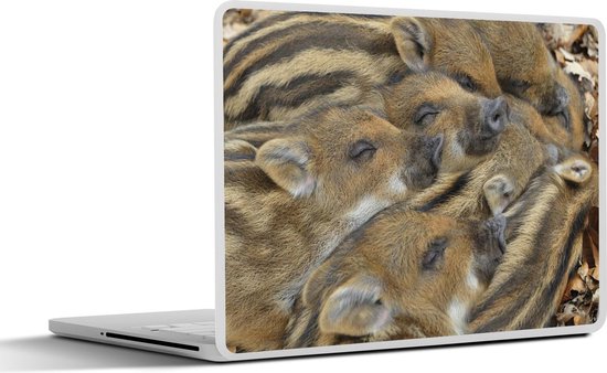 Laptop sticker - inch - Zwijnen - Slaap