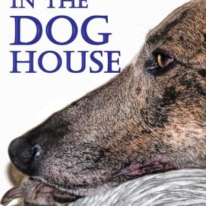 In The Doghouse In The Doghouse