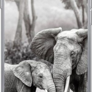 Hoesje – Baby olifant met haar moeder in zwart-wit – Siliconen Hoesje – Baby olifant met haar moeder in zwart-wit – Siliconen