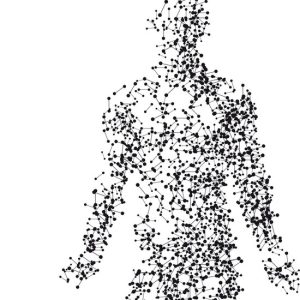 Le pieghe del corpo Le pieghe del corpo