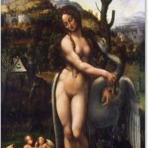 Poster – Leda en de zwaan – Leonardo da Vinci Poster – Leda en de zwaan – Leonardo da Vinci