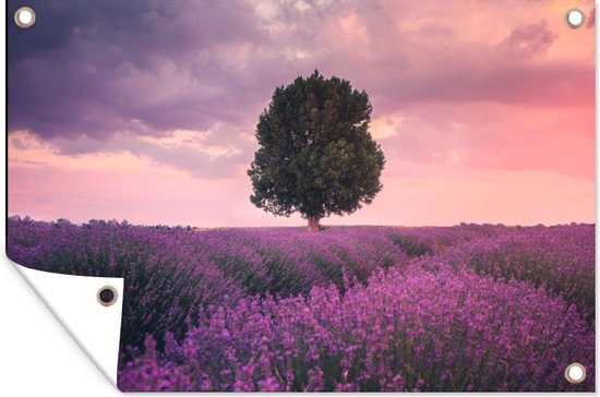Tuinposter - Lavendel - Bloemen - Paars - Boom - Natuur - Tuindoek