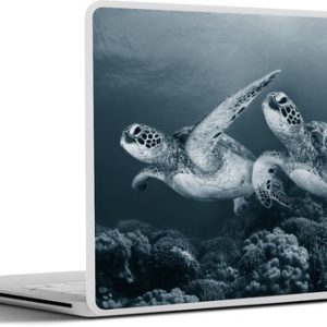 Schildpad – Zeedieren – Zwart wit – Wilde dieren