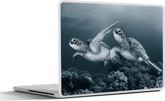 Schildpad - Zeedieren - Zwart wit - Wilde dieren