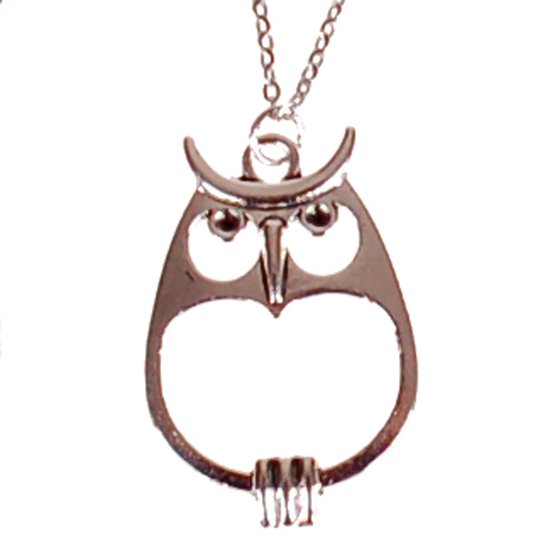 Kinderketting RVS 45cm – Hangertje Zilverkleurig